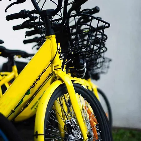 Domek letniskowy Pod Dębem *